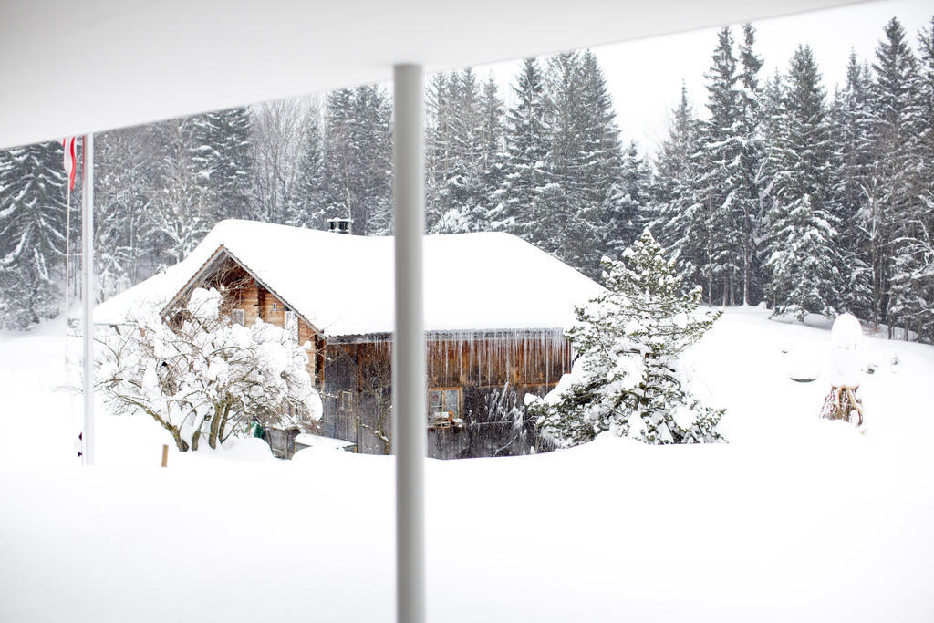 Chalet Bergoase Hasliberg Zewnętrze zdjęcie